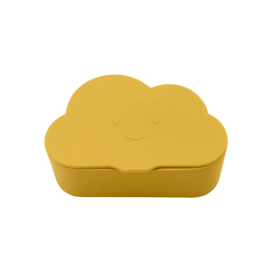 Baby Food Fruit Container Storage