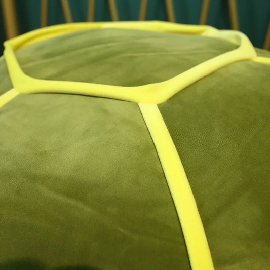 Baby Little Tortoise