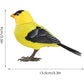 Baby Interactive Singing Brid