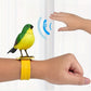 Baby Interactive Singing Brid